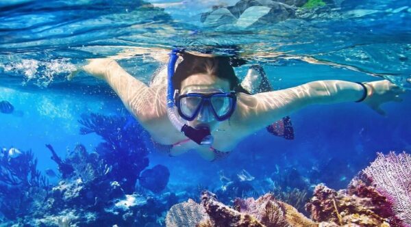 Cabo San Lucas - Caborey - Snorkeling Tour