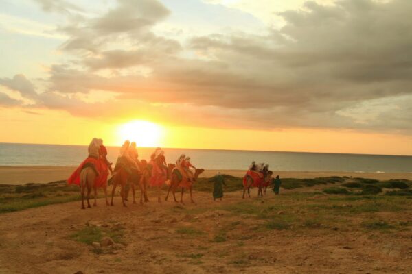 Cabo San Lucas - Sunset Beach Tour - Horse/Camel/ATV