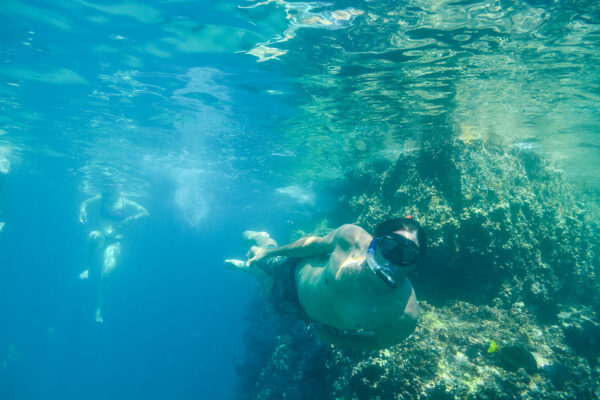 Cabo San Lucas - Private Guided Snorkel